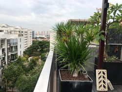 Flamingo Valley (D15), Condominium #556976291